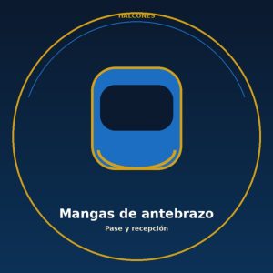 Mangas de antebrazo (par)