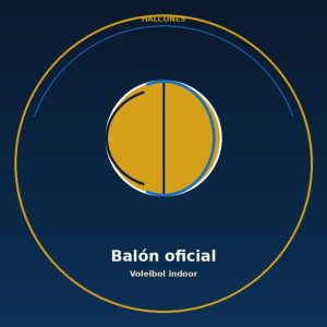 Balón de voleibol oficial indoor